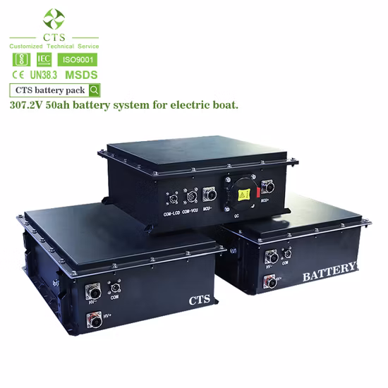Hot Sale LiFePO4 307.2V 50ah 100ah 15kw Li-ion Lithium Battery for Marine and Yacht with MSDS Certification