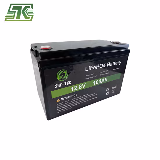 LiFePO4 Battery 12.8V 100ah 200ah China Price Solar Storage Lithium Ion Battery